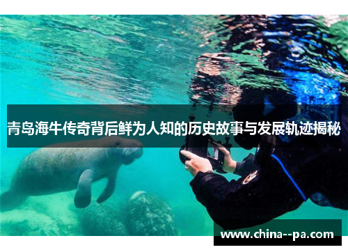 青岛海牛传奇背后鲜为人知的历史故事与发展轨迹揭秘
